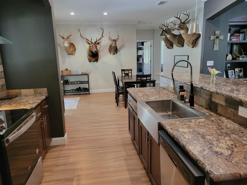 22397 Mondon Hill, Brooksville, FL 34601