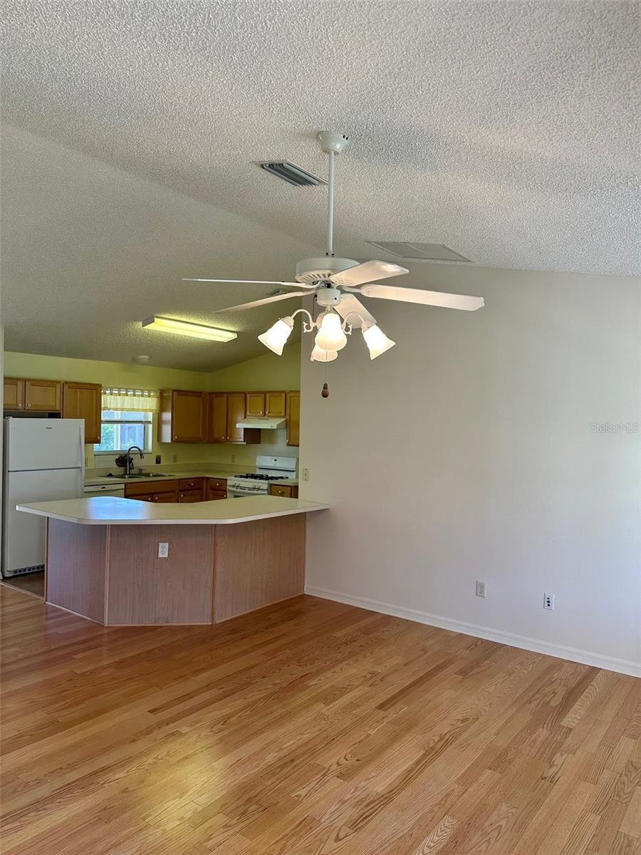 9230 179th Wesley, The Villages, FL 32162