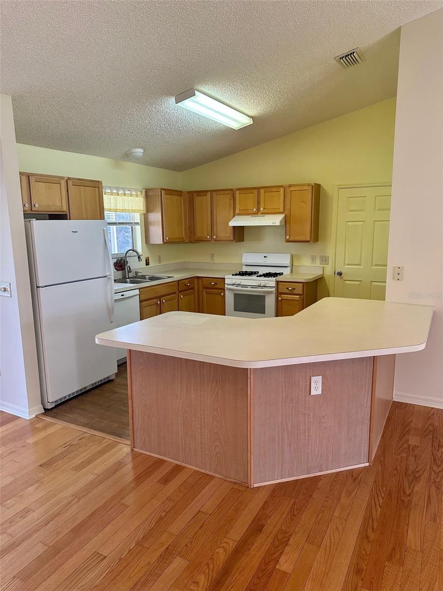 9230 179th Wesley, The Villages, FL 32162