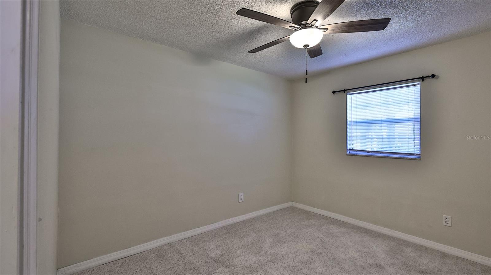 1915 Umbrella Tree, Edgewater, FL 32141