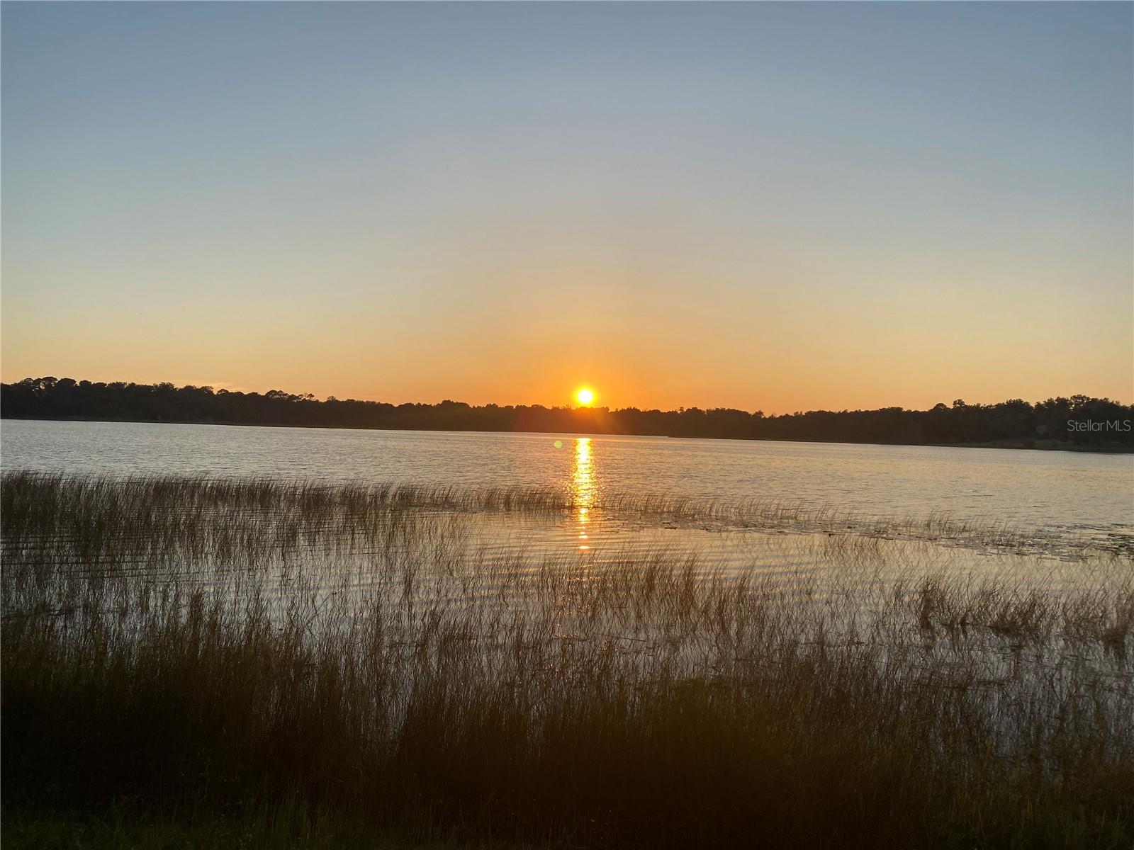TBD LOT 01000 Silver, Umatilla, FL 32784