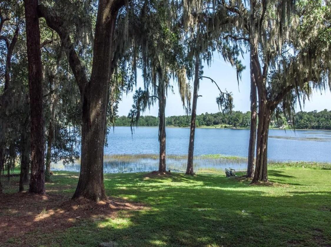 TBD LOT 01000 Silver, Umatilla, FL 32784