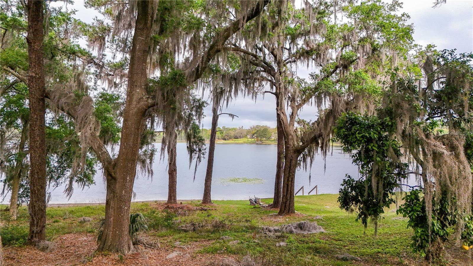 TBD LOT 01000 Silver, Umatilla, FL 32784