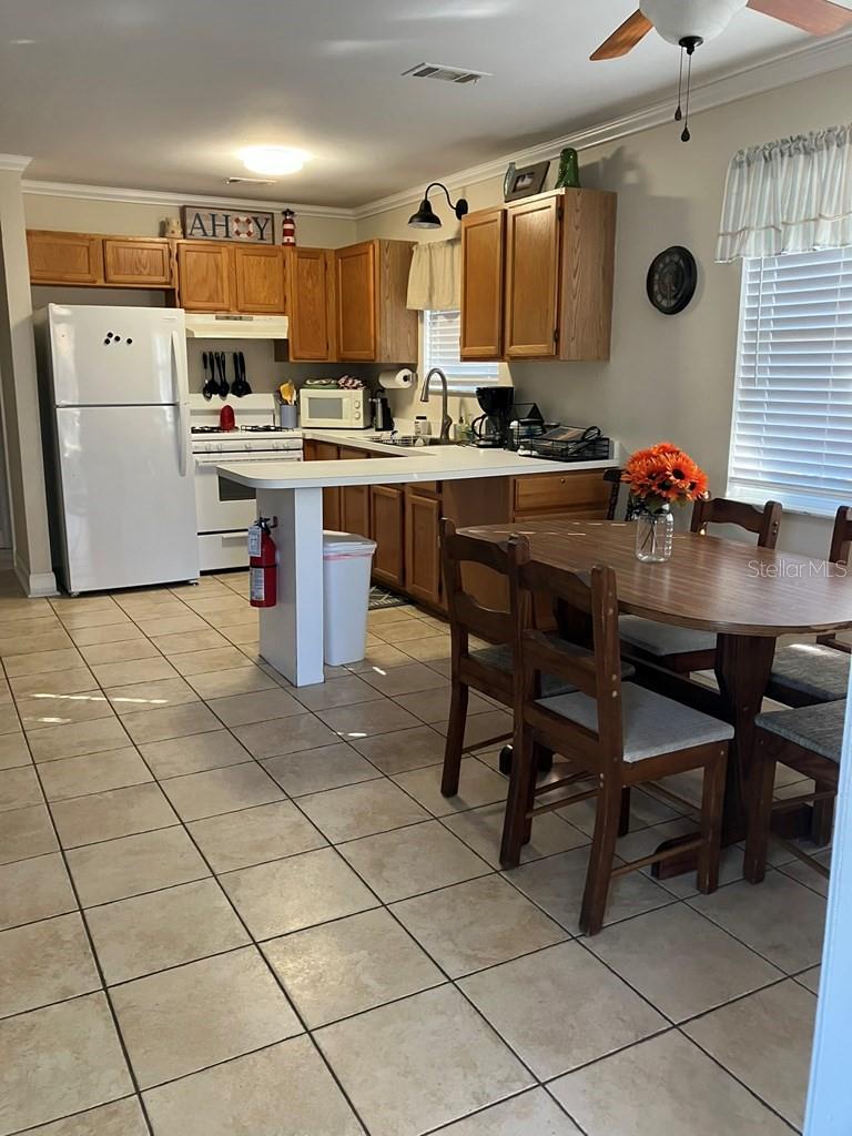 25079 140th, Salt Springs, FL 32134