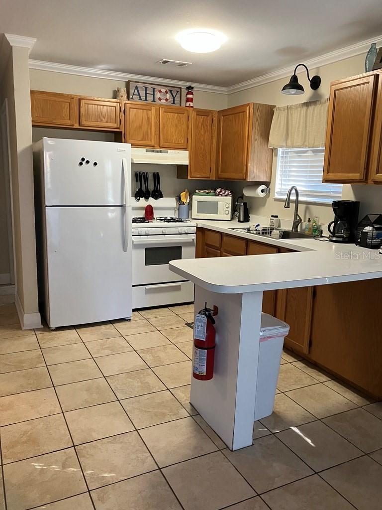 25079 140th, Salt Springs, FL 32134
