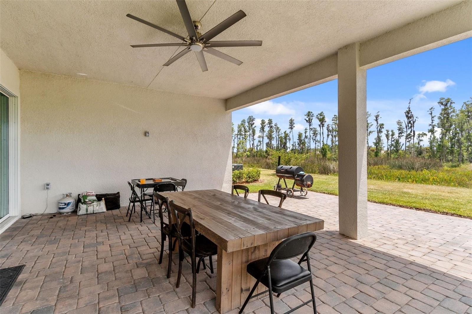32588 Tree of Life, Wesley Chapel, FL 33543