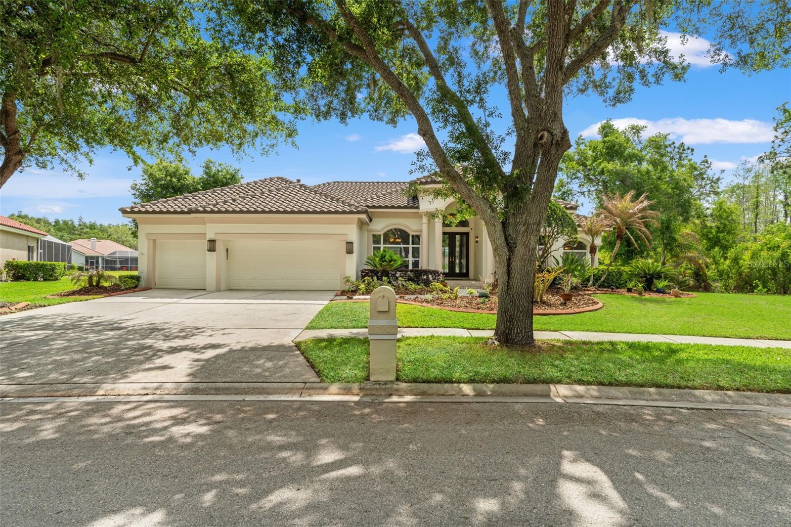 17905 Arbor Greene, Tampa, FL 33647