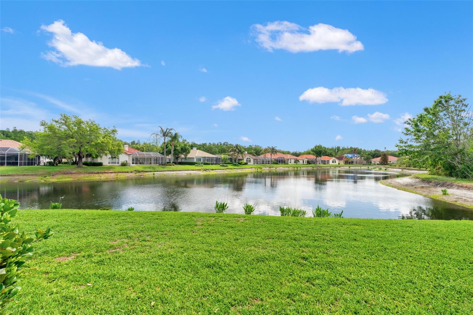 17905 Arbor Greene, Tampa, FL 33647