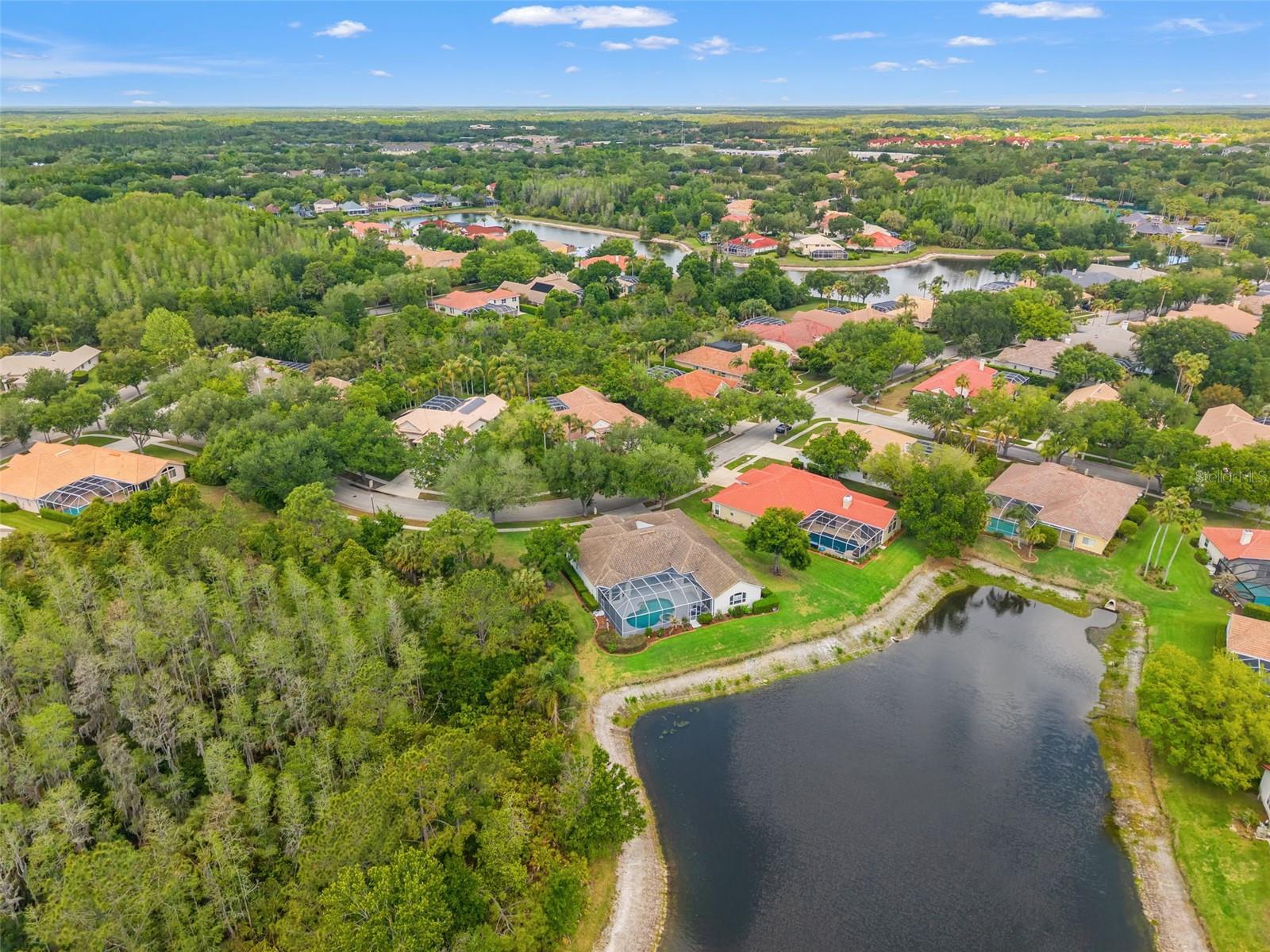 17905 Arbor Greene, Tampa, FL 33647