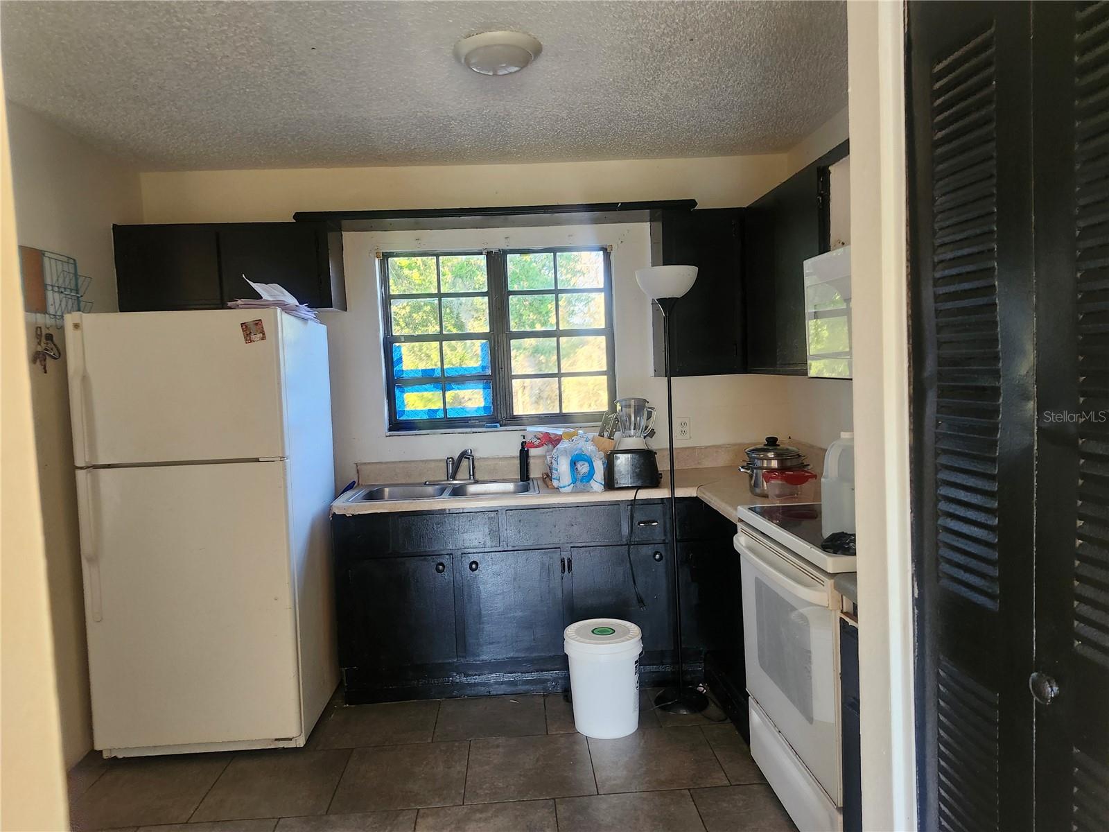 46 Palm, Ocala, FL 34472
