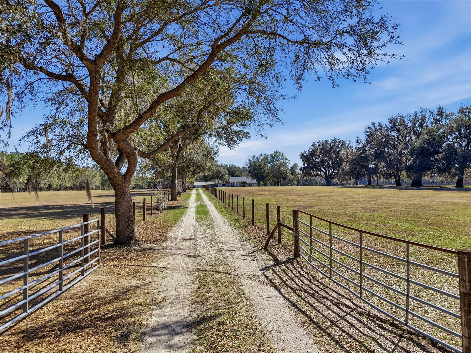 9115 170th, Alachua, FL 32615