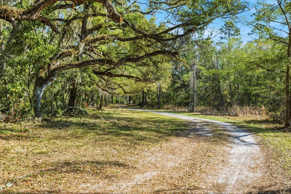 957 354th, Old Town, FL 32680