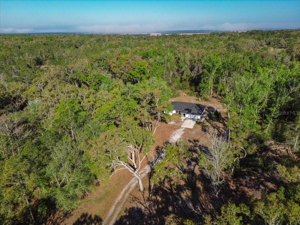 957 354th, Old Town, FL 32680