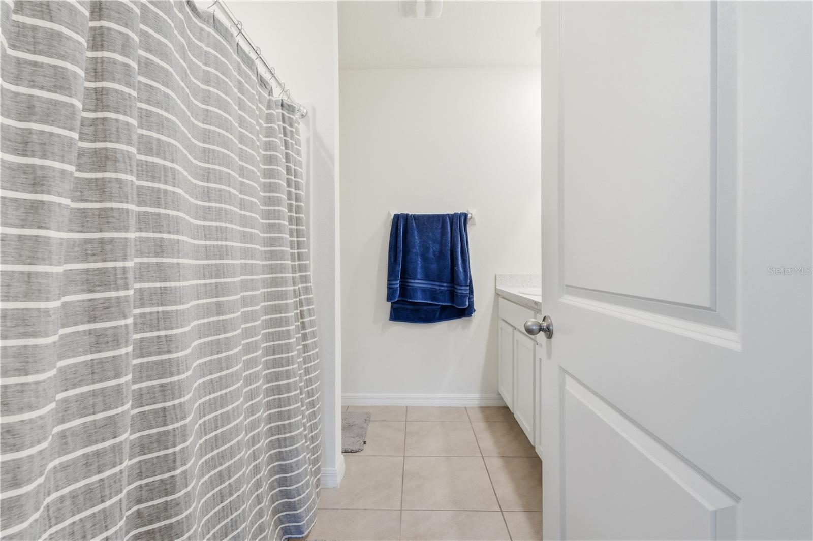 33922 Jasper Stone, Wesley Chapel, FL 33543
