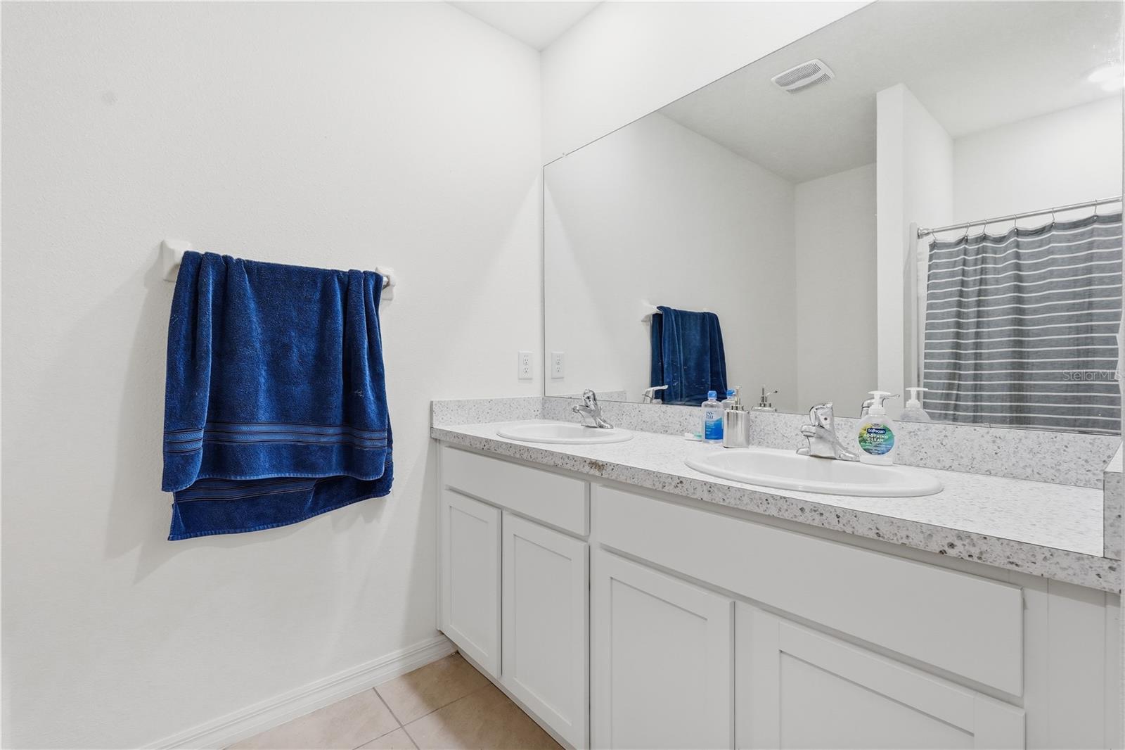 33922 Jasper Stone, Wesley Chapel, FL 33543