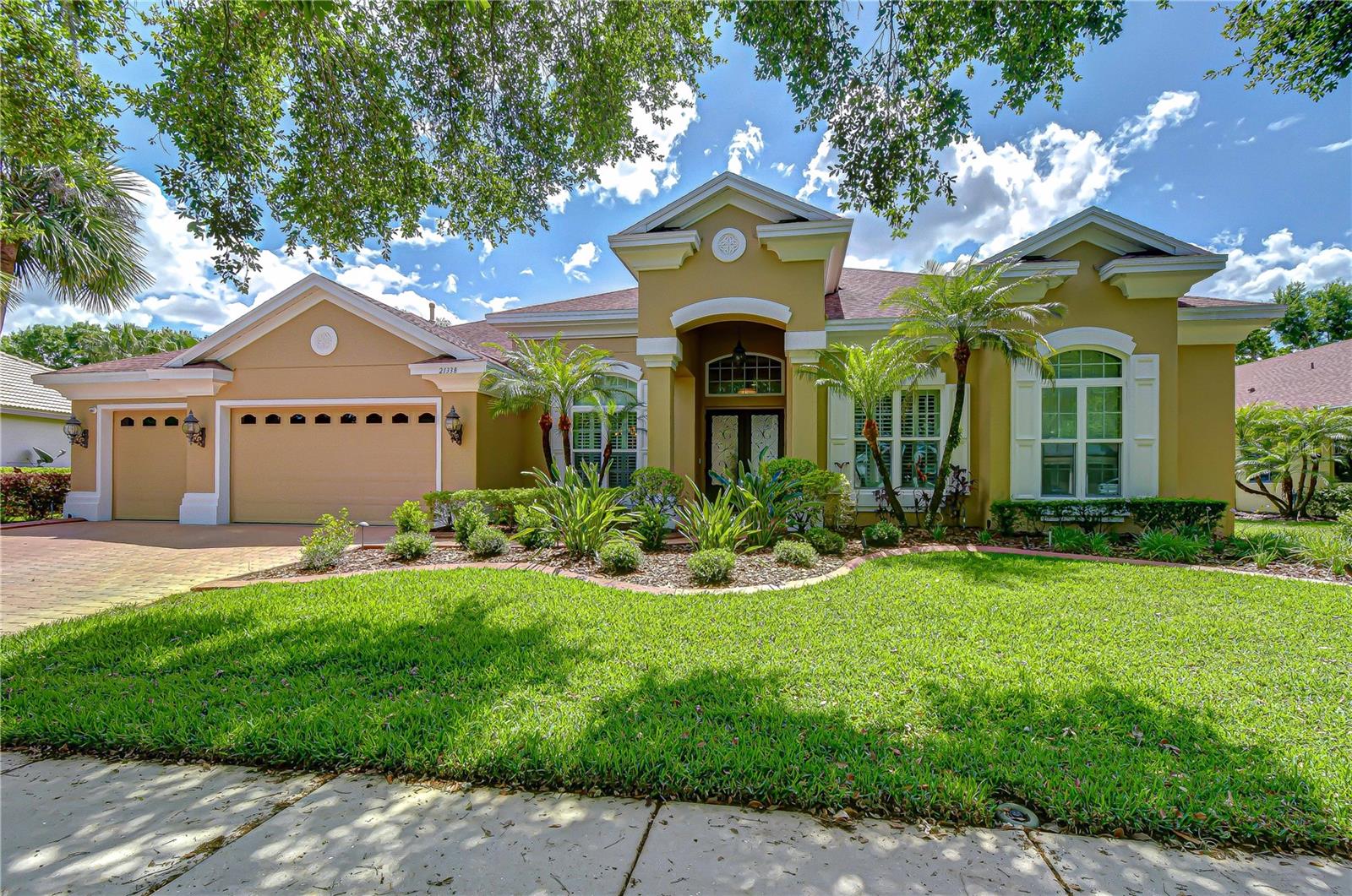 21338 Lake Vienna Drive, Land O Lakes, FL 34638