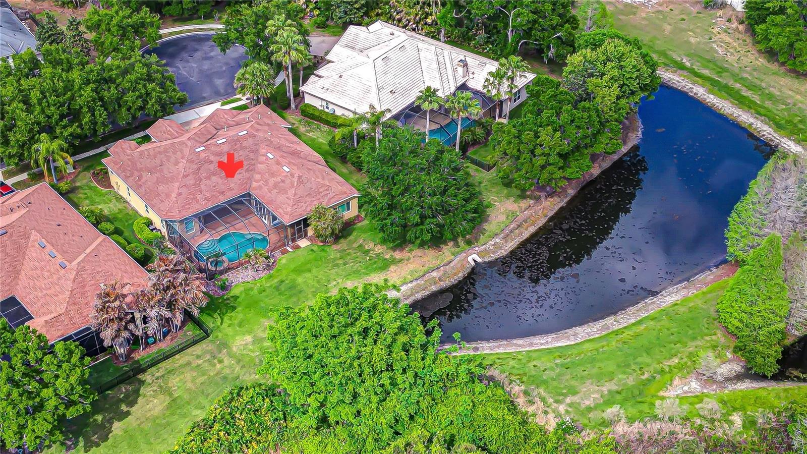 21338 Lake Vienna Drive, Land O Lakes, FL 34638