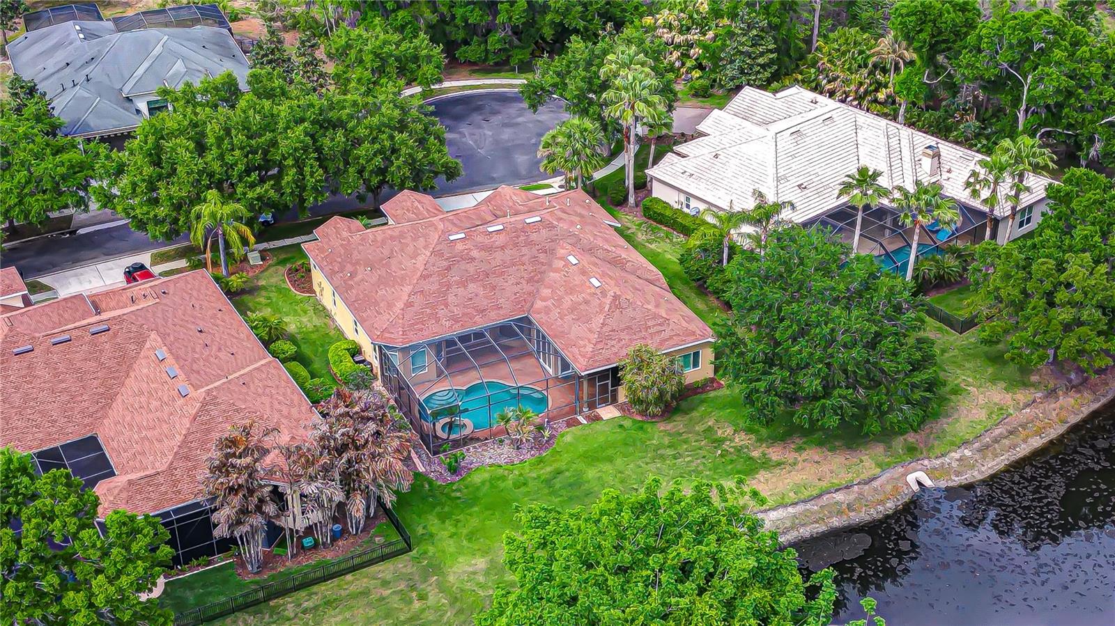 21338 Lake Vienna Drive, Land O Lakes, FL 34638