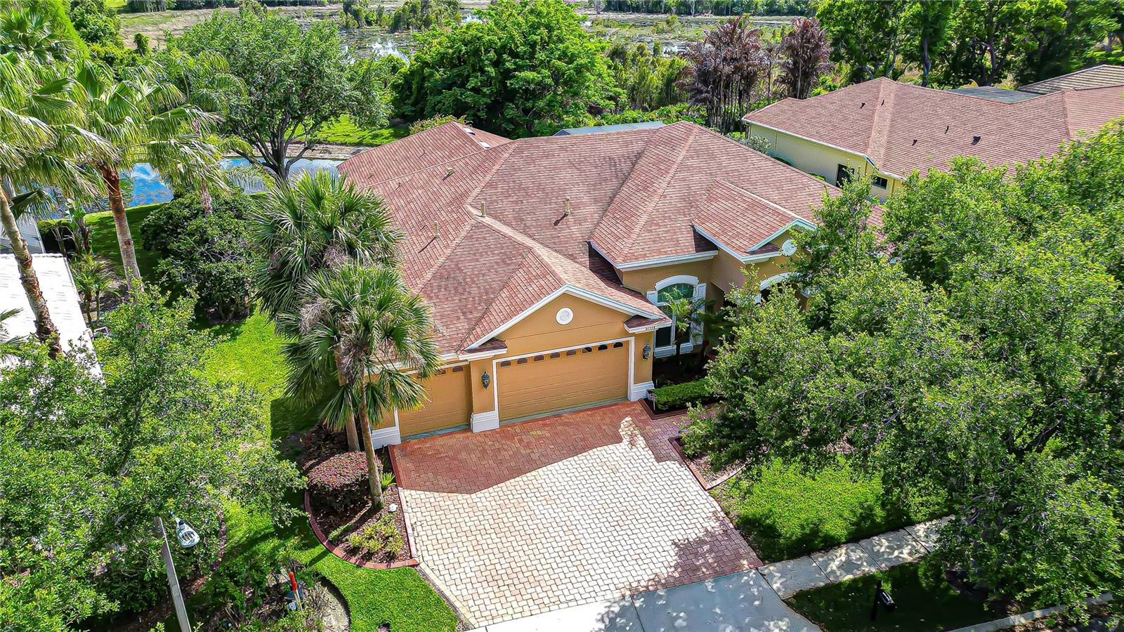 21338 Lake Vienna Drive, Land O Lakes, FL 34638