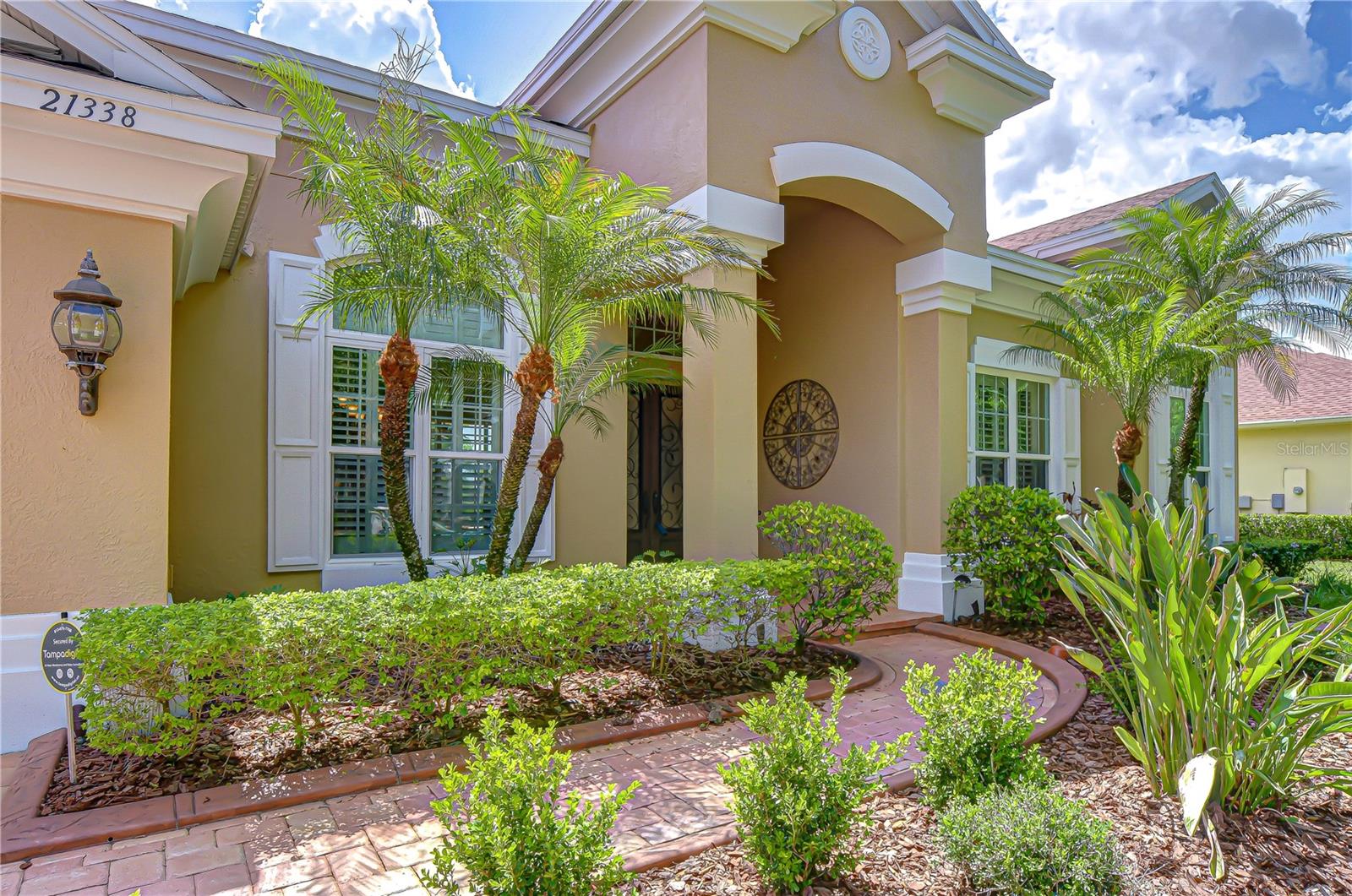 21338 Lake Vienna Drive, Land O Lakes, FL 34638