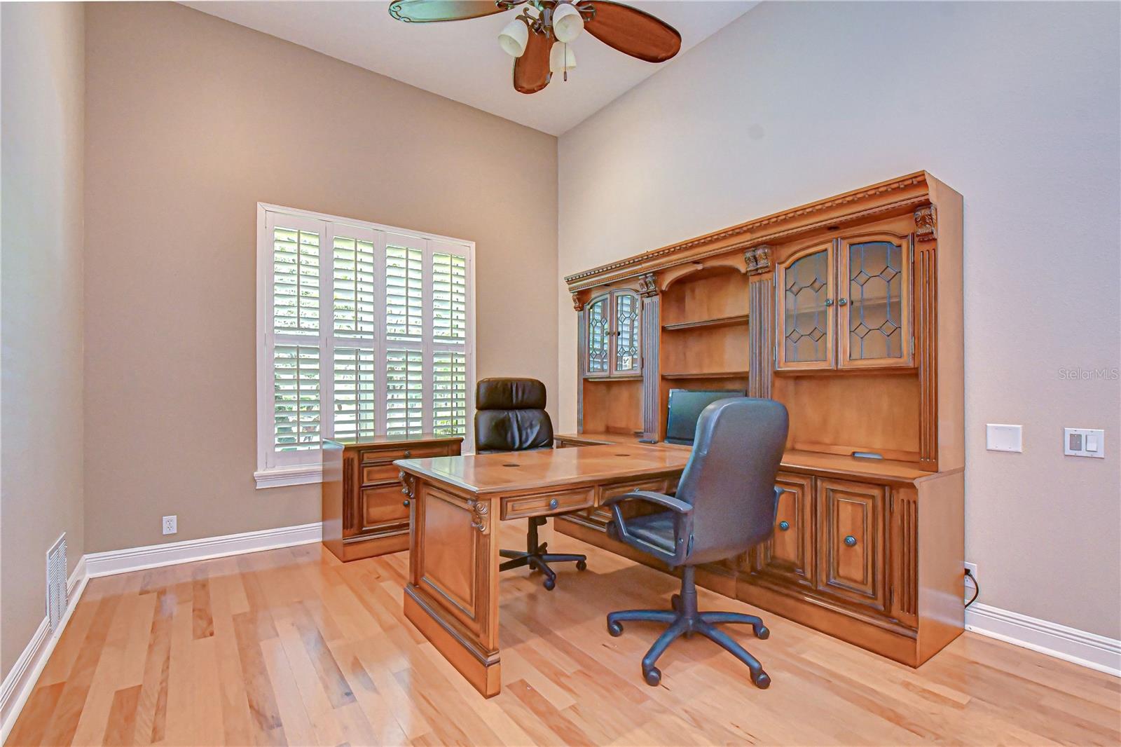 21338 Lake Vienna Drive, Land O Lakes, FL 34638