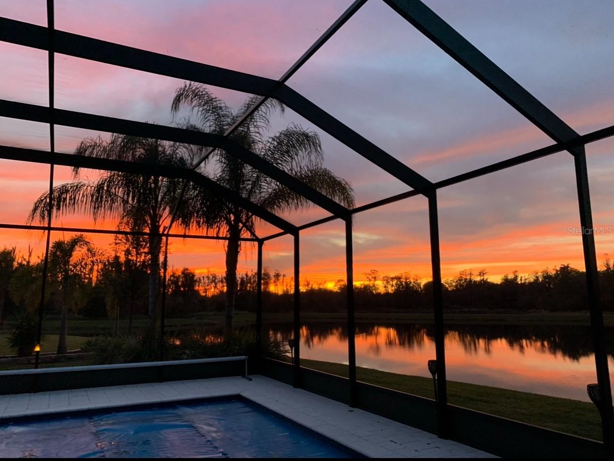 16015 Cape Coral, Wimauma, FL 33598