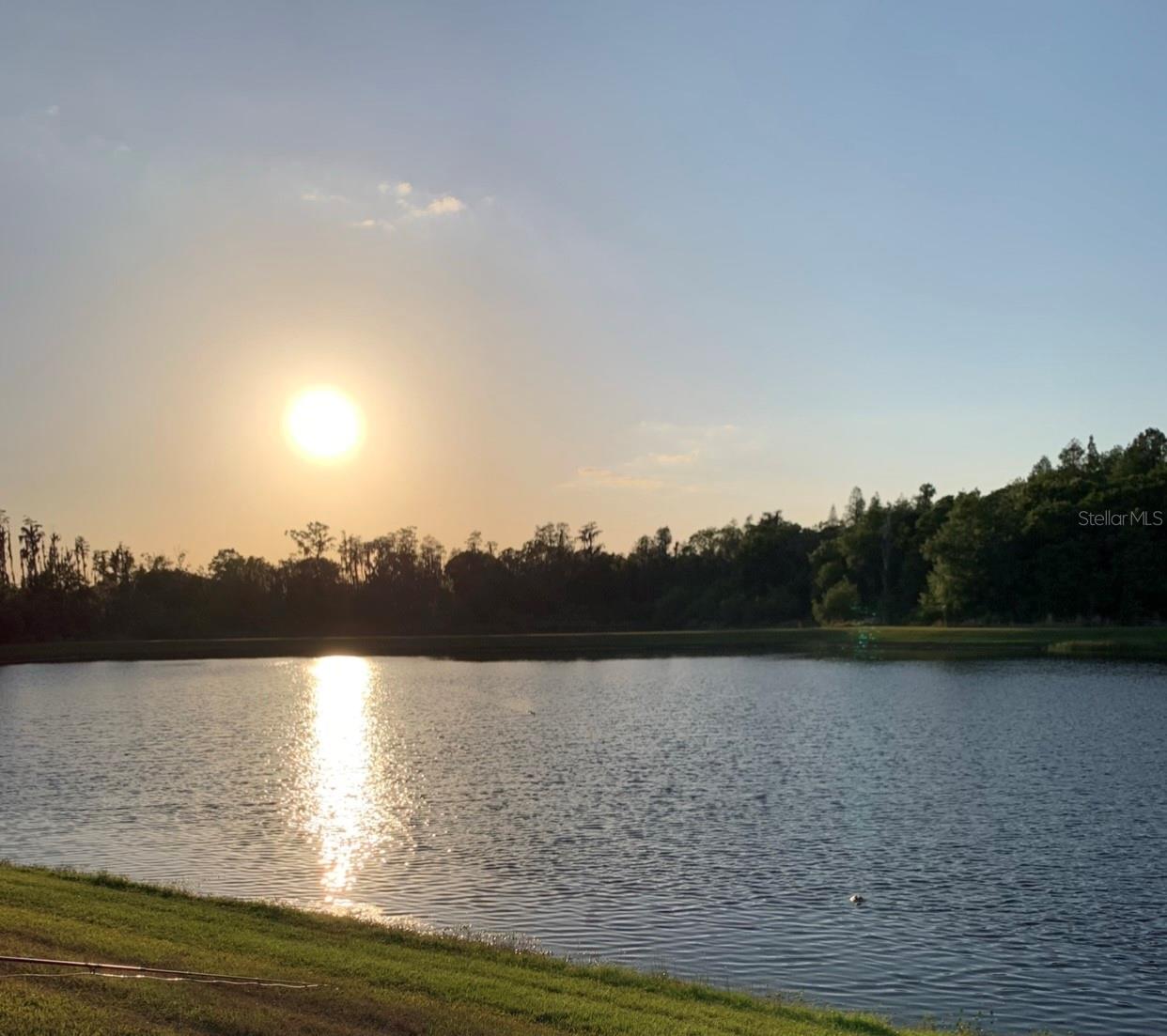 16015 Cape Coral, Wimauma, FL 33598