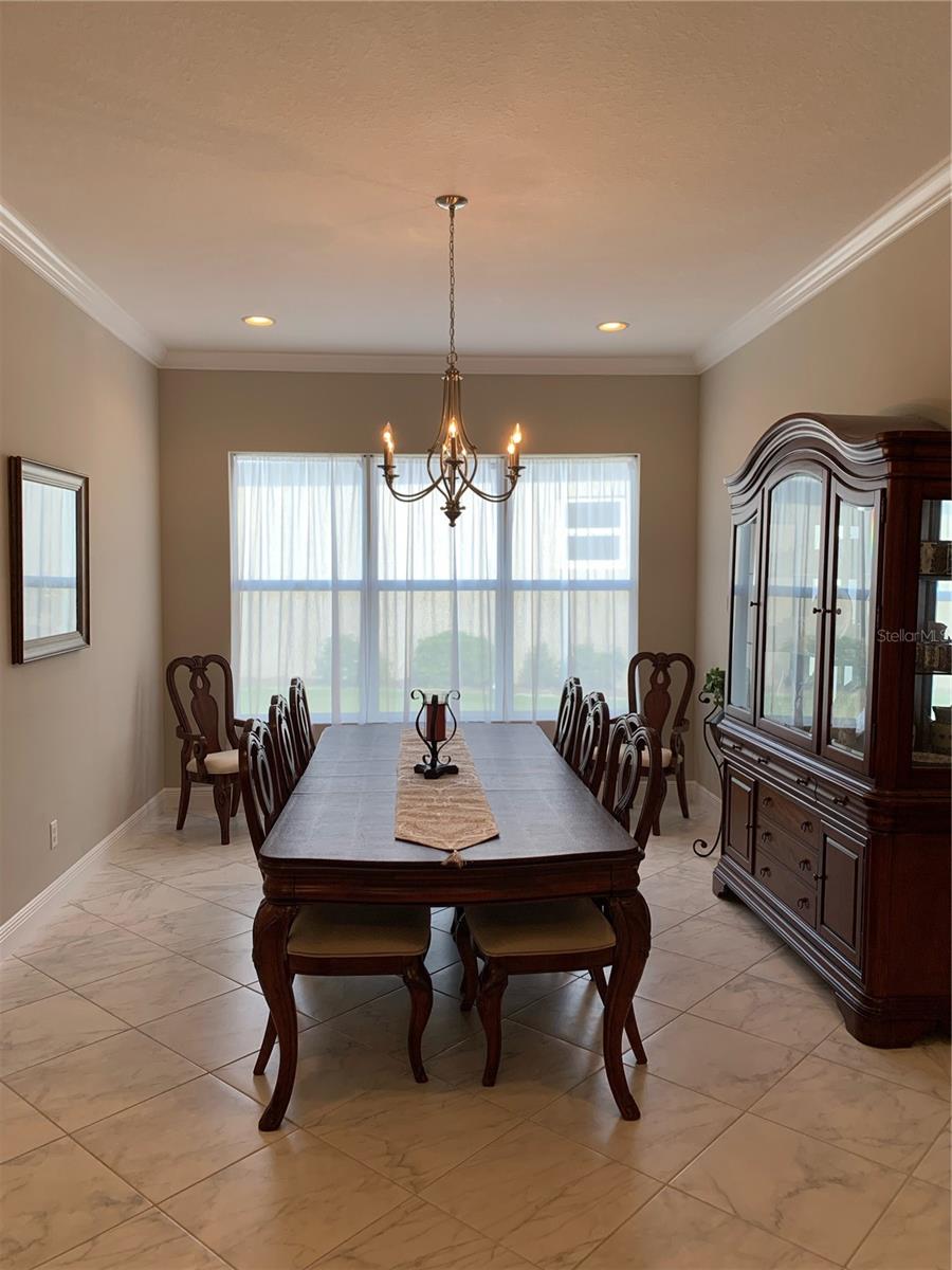 16015 Cape Coral, Wimauma, FL 33598