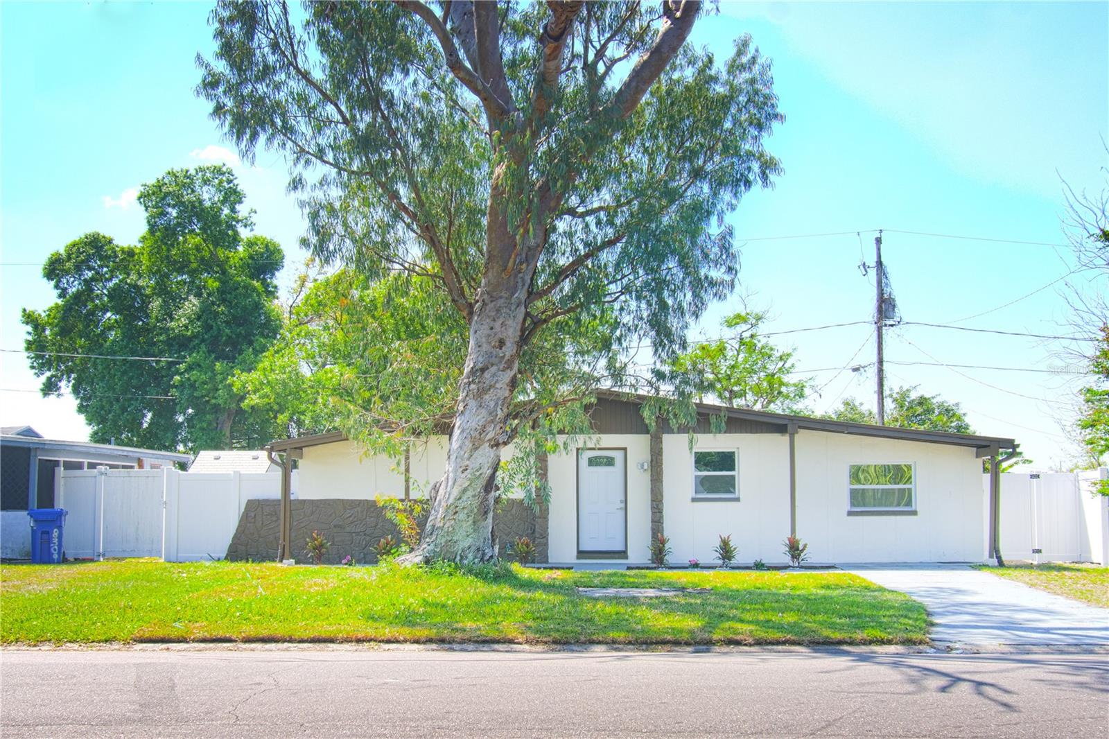 8307 Libby, Tampa, FL 33619