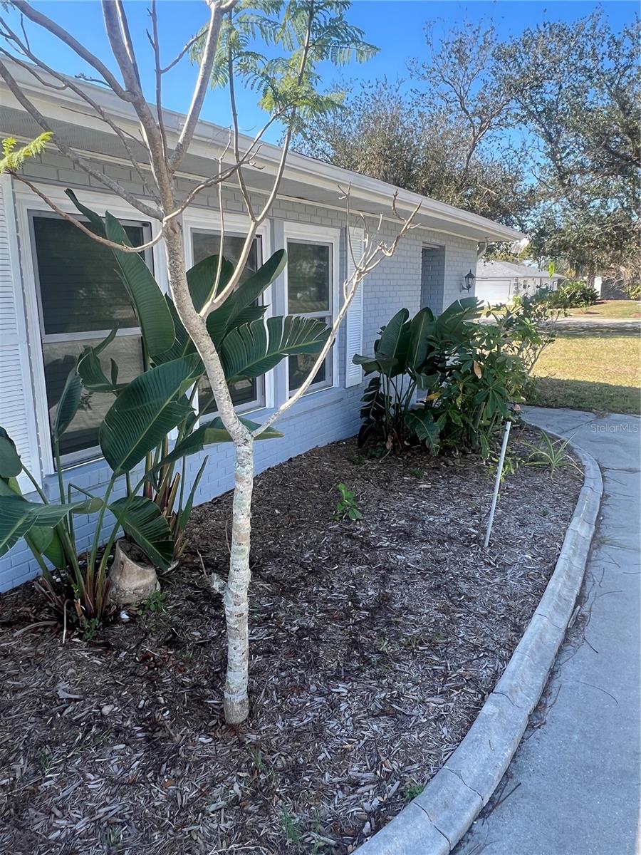 22065 Malone, Port Charlotte, FL 33952