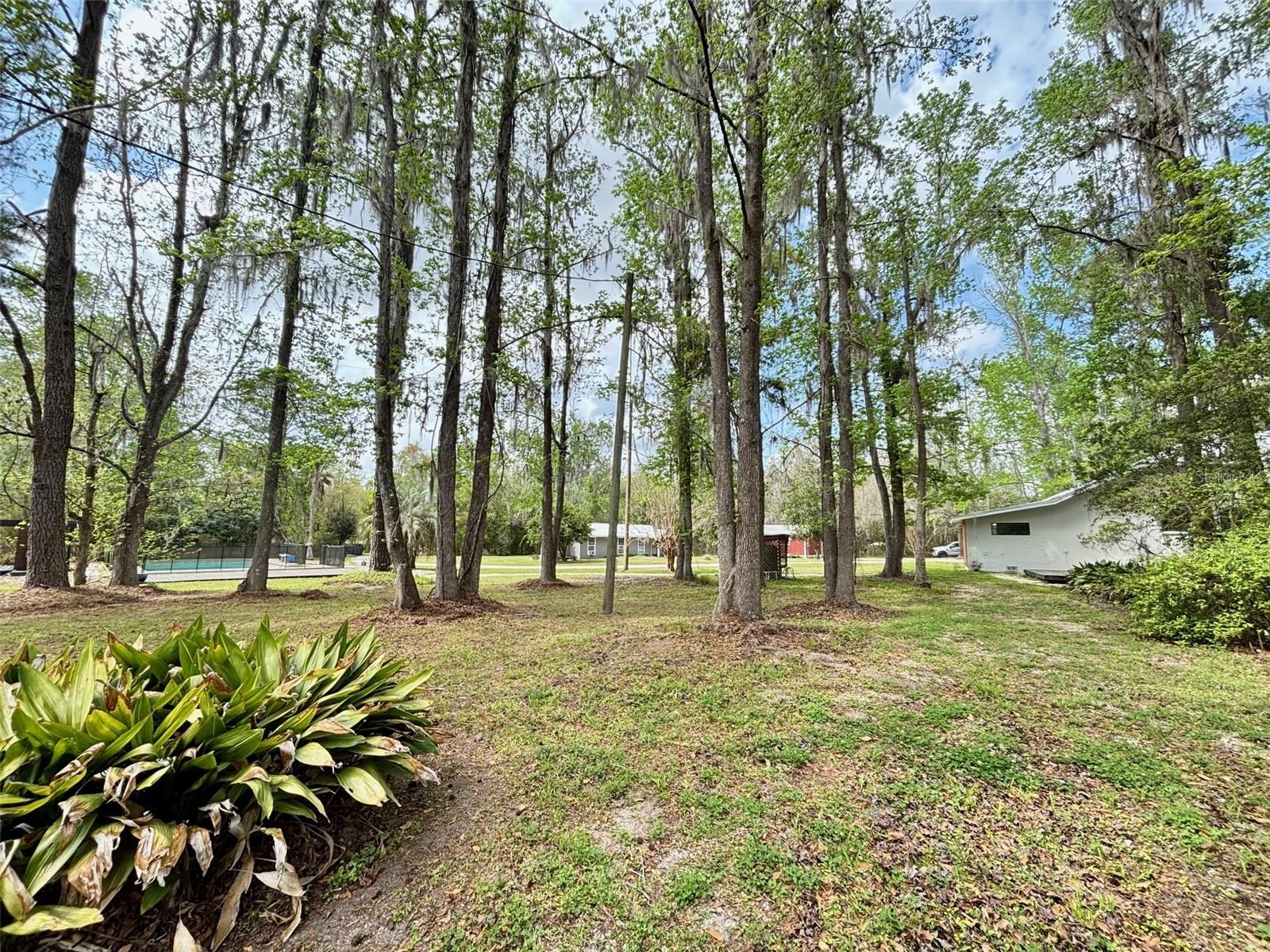 18917 County Road 239, Alachua, FL 32615