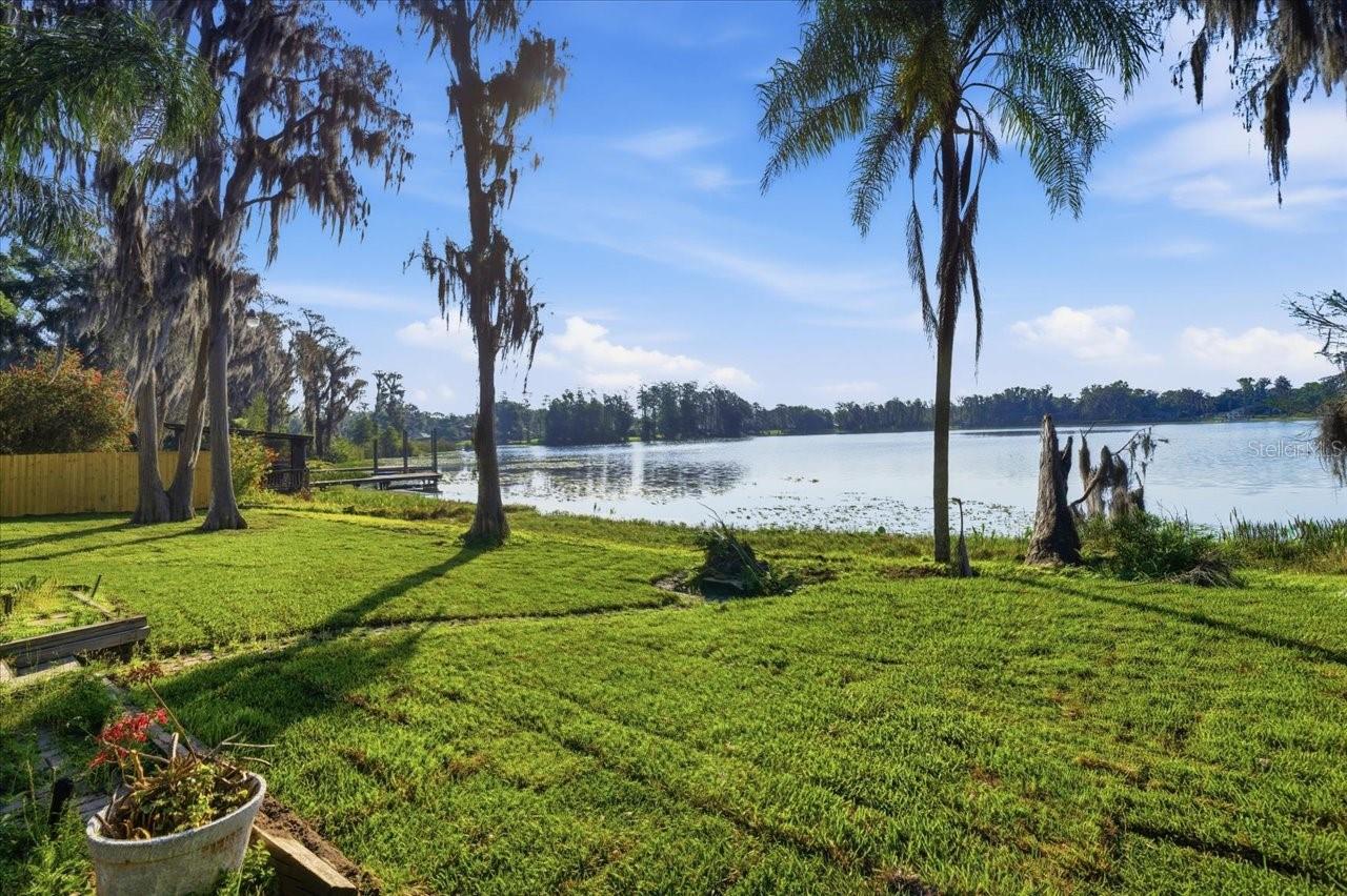 700 Druid, Lutz, FL 33548