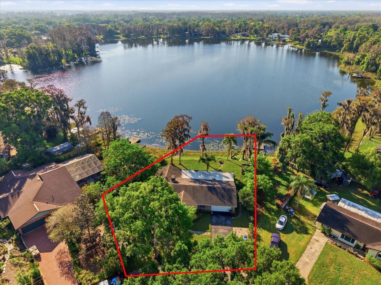 700 Druid, Lutz, FL 33548