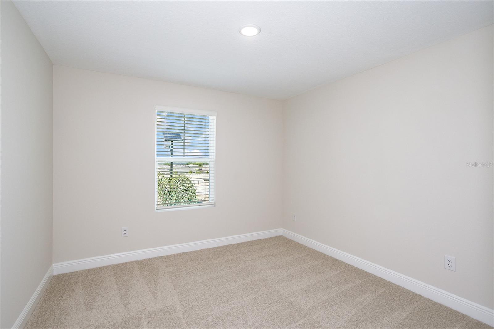 9936 Annunciation, Wesley Chapel, FL 33545