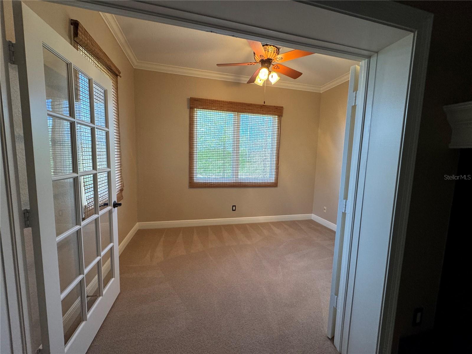 644 Saxony, St Petersburg, FL 33716