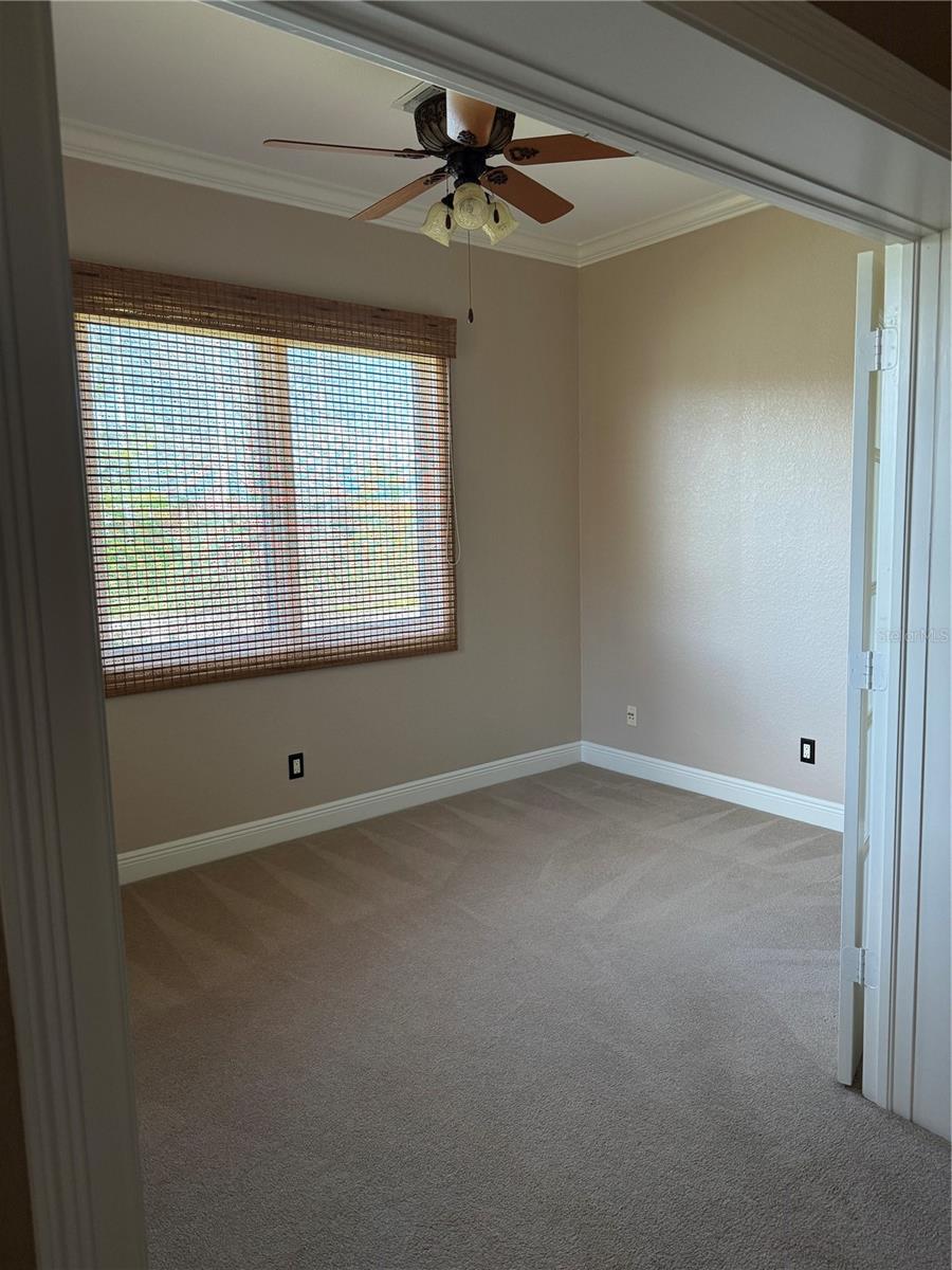 644 Saxony, St Petersburg, FL 33716