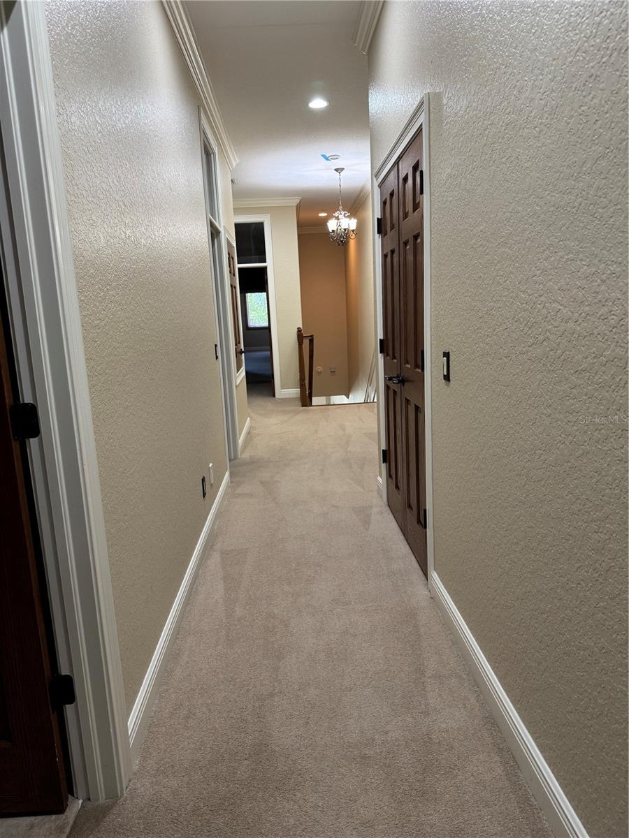 644 Saxony, St Petersburg, FL 33716