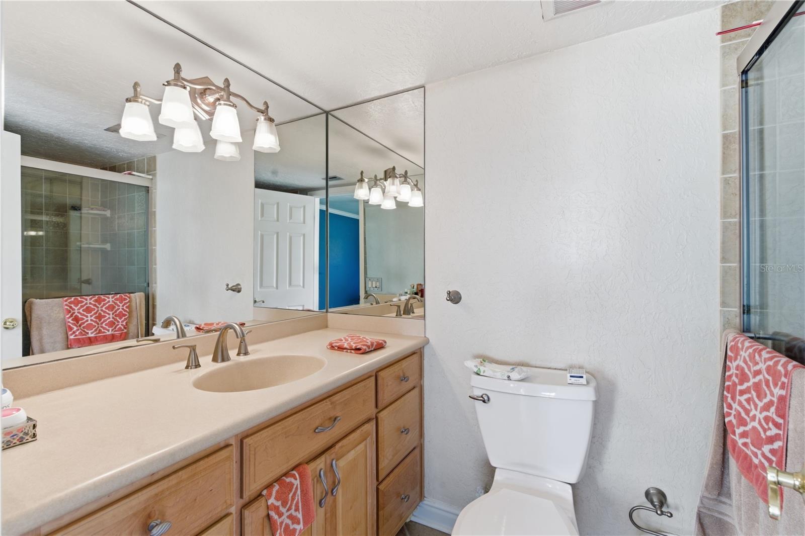 308 Ellen, Brandon, FL 33510