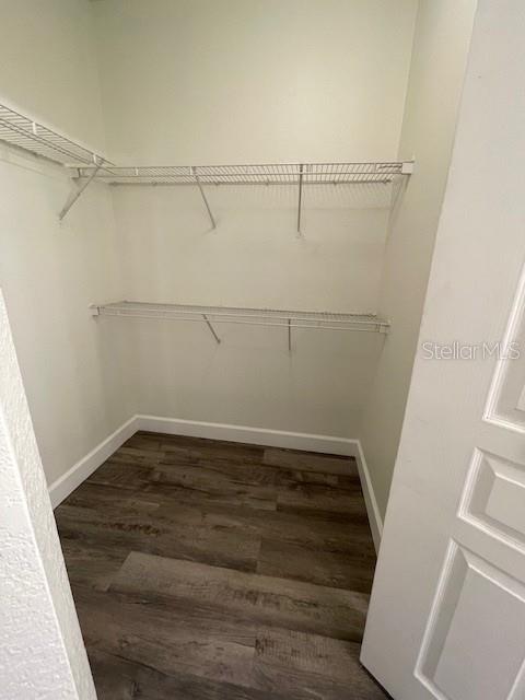 5125 Palm Springs Unit 11203, Tampa, FL 33647