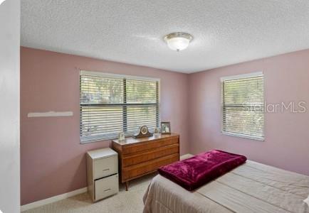 270 Mcclendon, Lady Lake, FL 32159