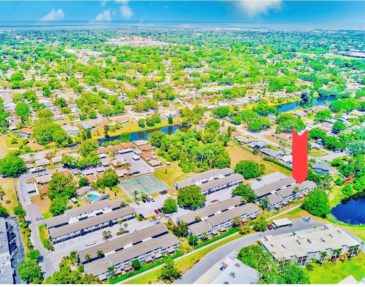 1127 King Arthur Unit 309, Dunedin, FL 34698