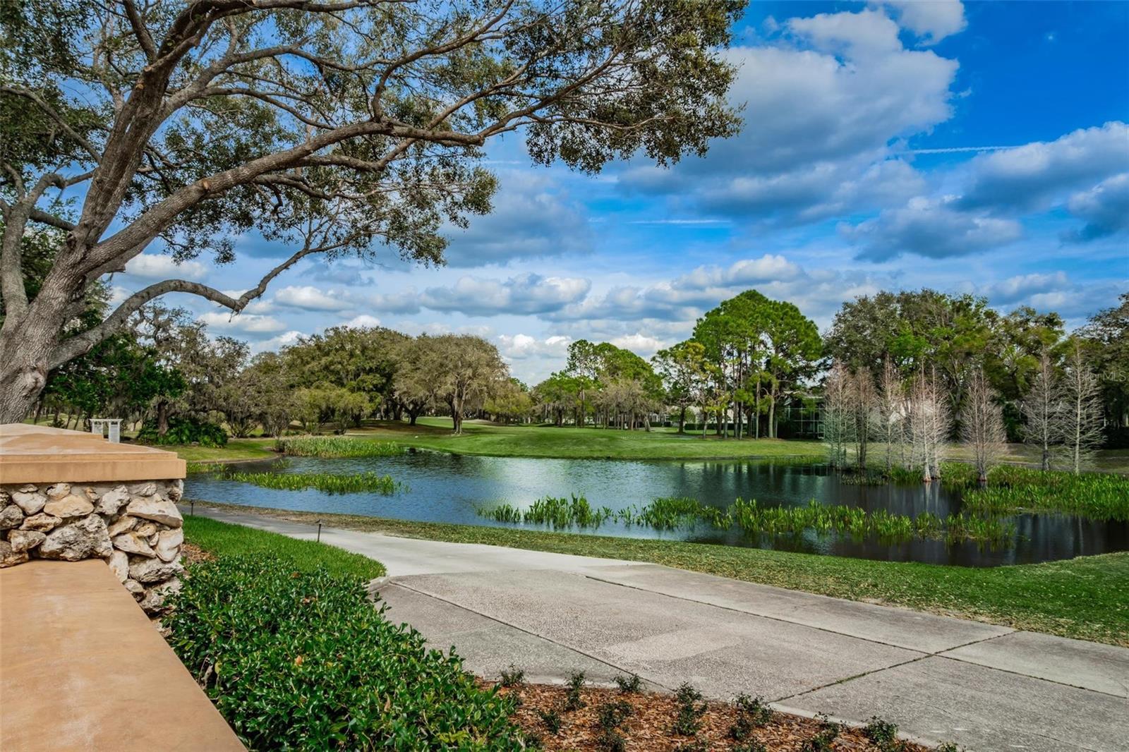 5120 Fairway One, Valrico, FL 33596