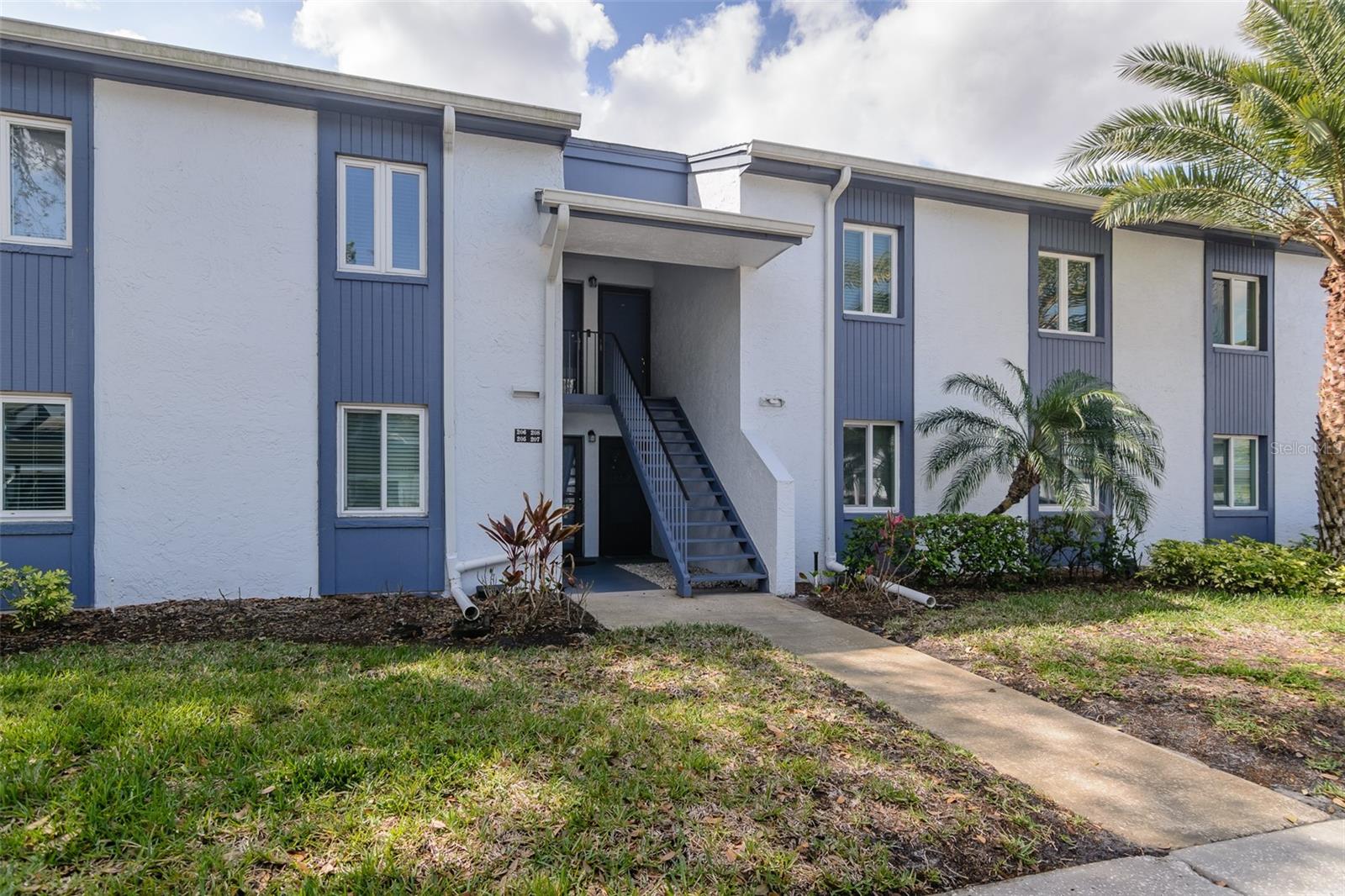 207 Cypress, Oldsmar, FL 34677