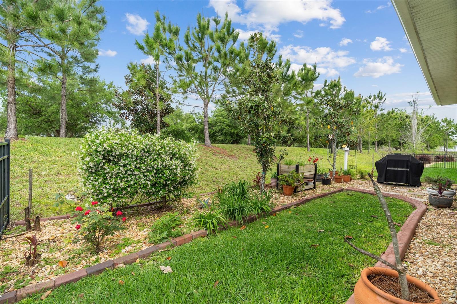 3113 Songbird Cir, St Cloud, FL 34773