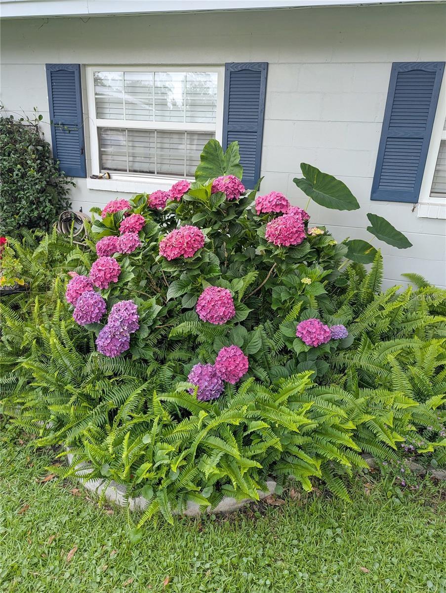 228 Oak Hill, Lake City, FL 32025
