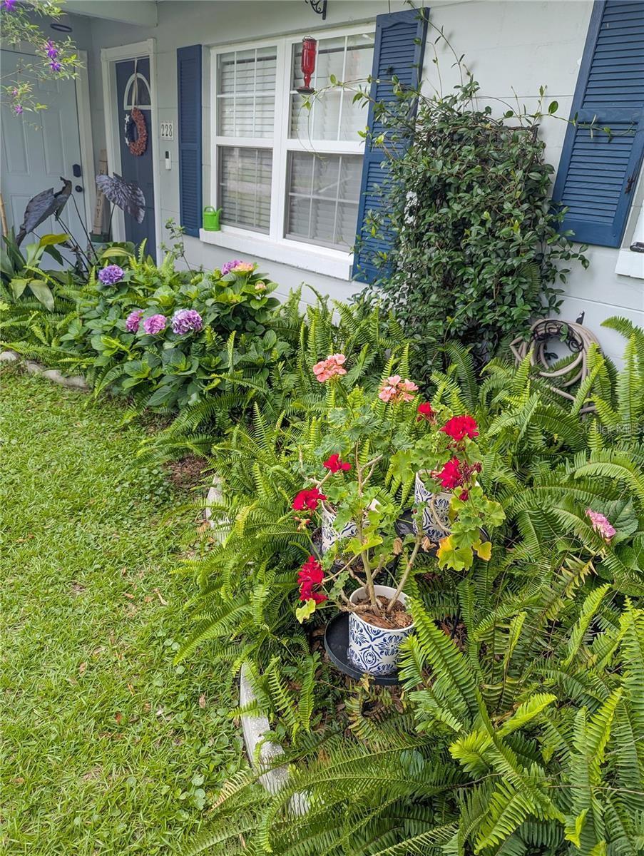 228 Oak Hill, Lake City, FL 32025