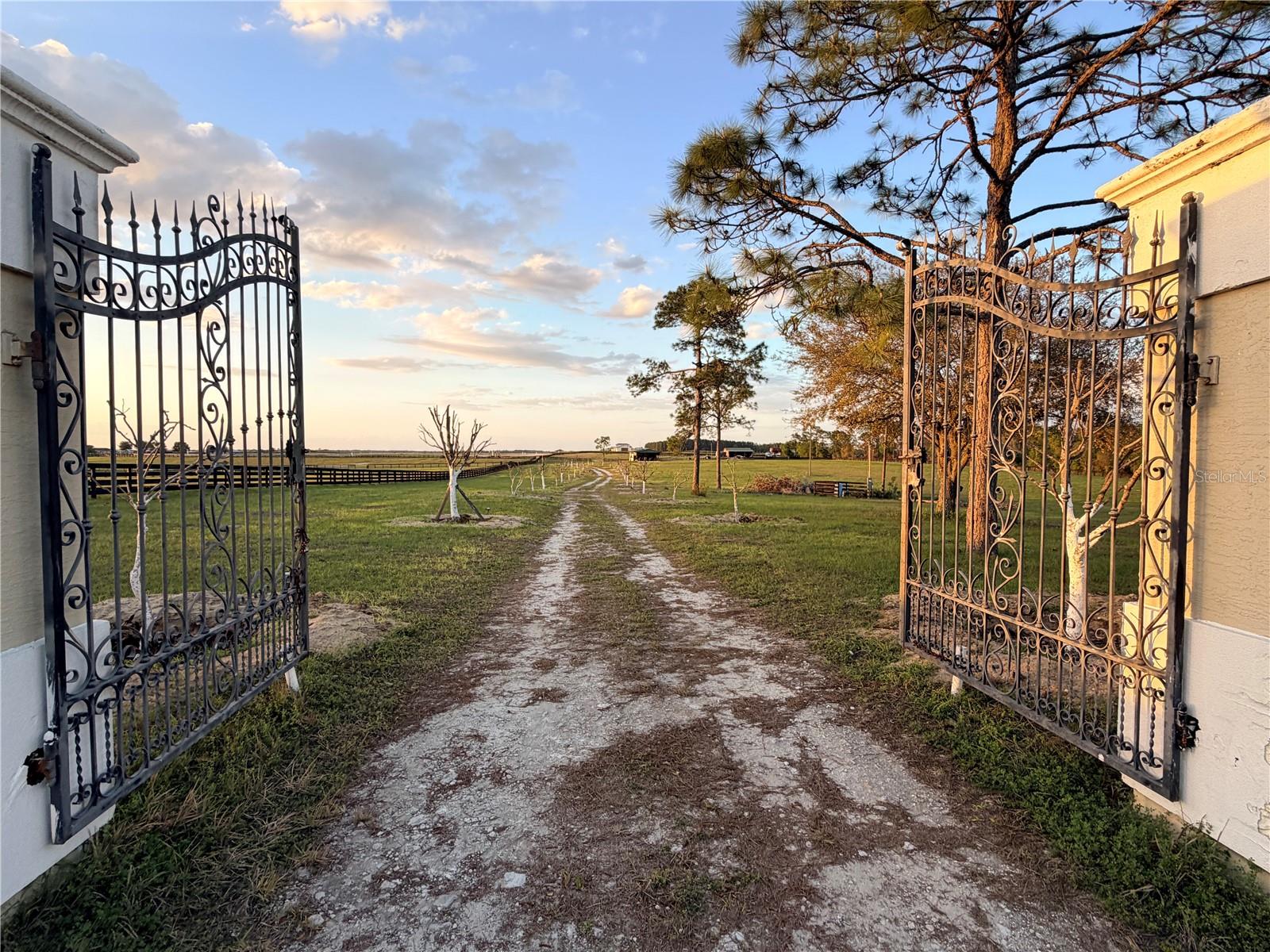 12451 20th, Williston, FL 32696