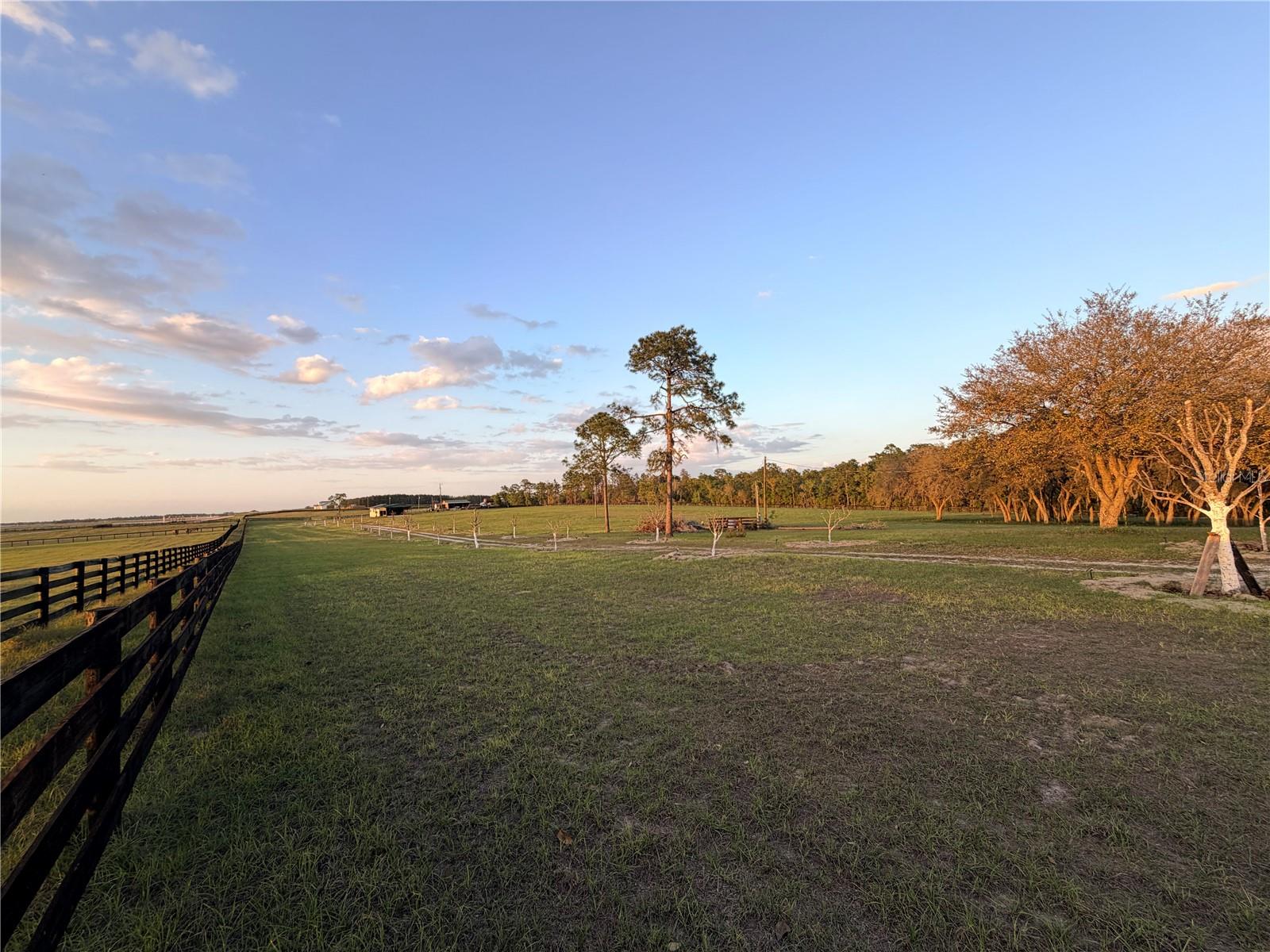 12451 20th, Williston, FL 32696