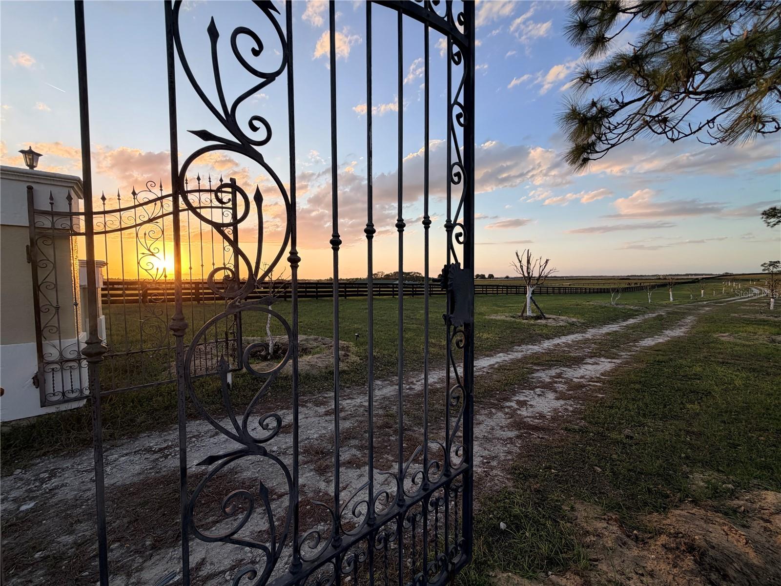 12451 20th, Williston, FL 32696