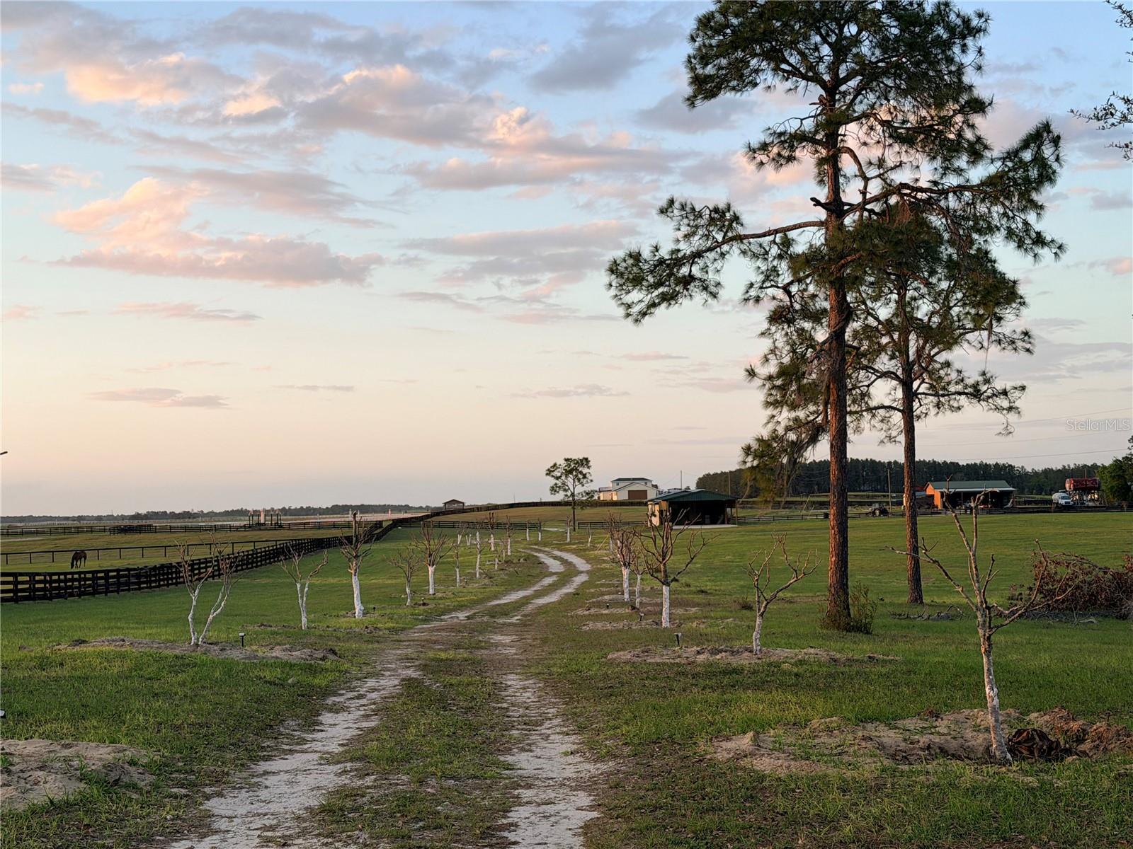 12451 20th, Williston, FL 32696